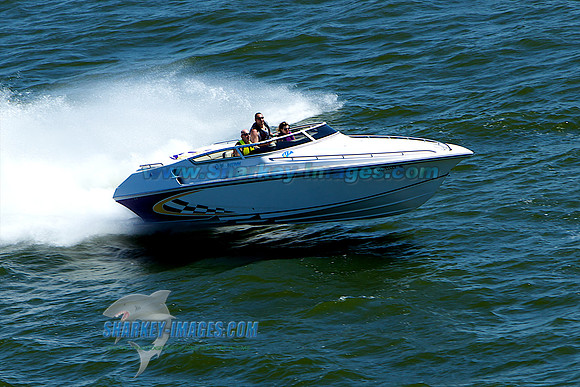 110730D 231 - Version 2