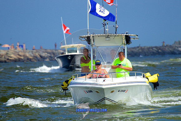 150710D 1250