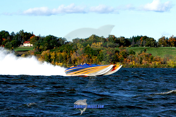 101009B 369 - Version 2.jpg