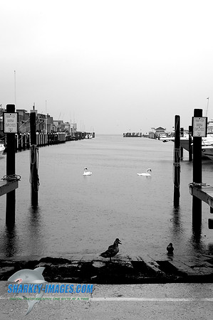 110827A 58 - Version 2