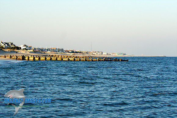 011410 10 - Version 2.jpg