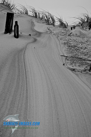 091109 68 - Version 2.jpg