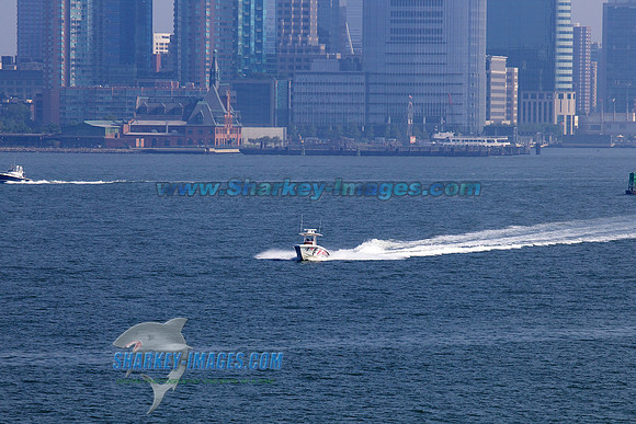 120804A 26