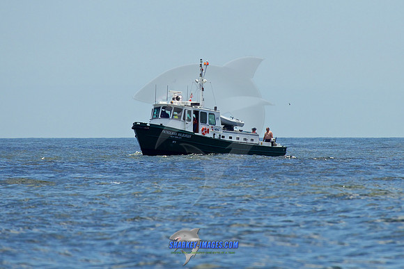 150710B 1436