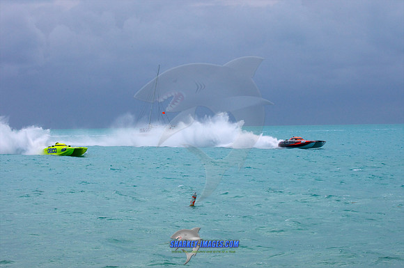 111109_ 566 - Version 2.jpg