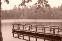 052108K 017.jpg