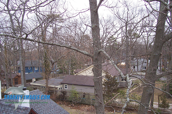 3_07 016.jpg