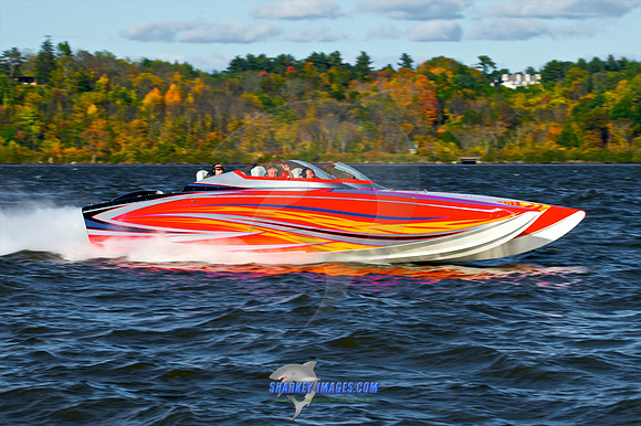 101009C 218 - Version 2.jpg
