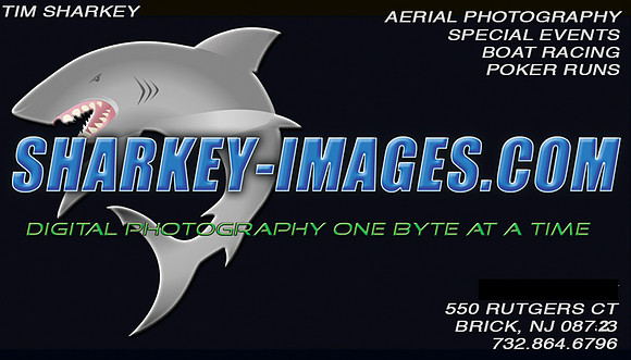 Sharkeycard4_REV.jpg