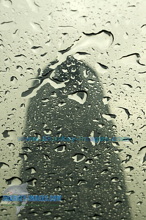 062009E 10 - Version 2.jpg