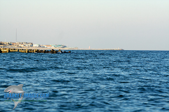 011410 9 - Version 2.jpg