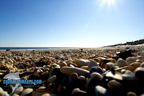 121109_ 8 - Version 2.jpg