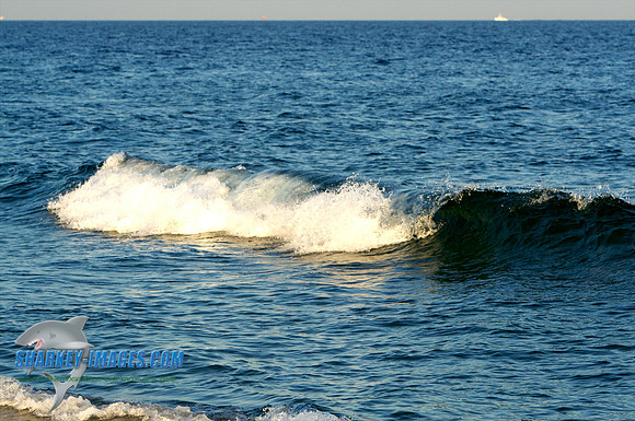011410 19 - Version 2.jpg