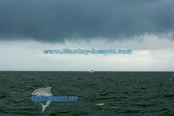 100822C 81 - Version 2