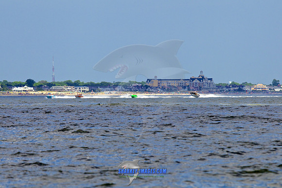 150710B 115