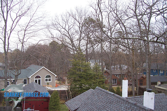 3_07 015.jpg
