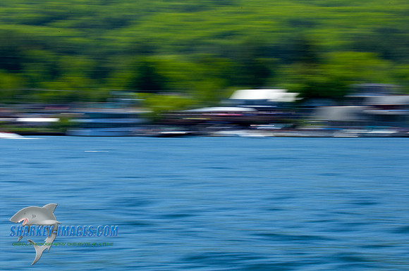 120519B 389 - Version 2