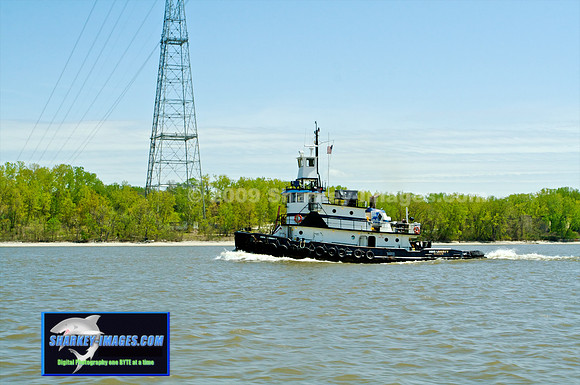 IMG_8977 - Version 2.jpg