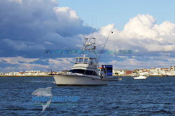 111002B 1486 - Version 2