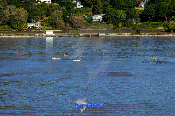 111008B 274 - Version 2
