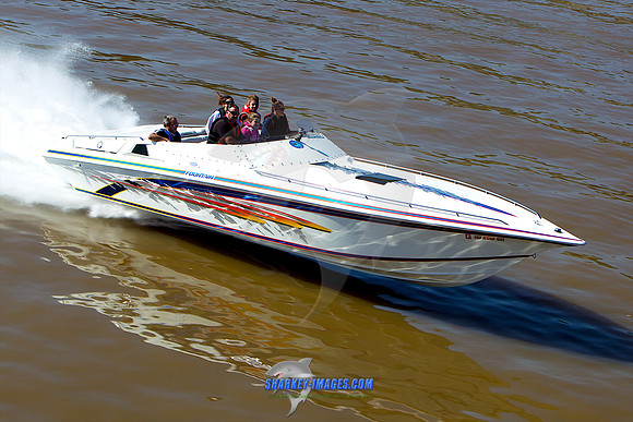 111008A 259 - Version 2