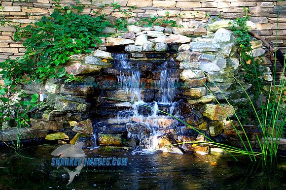 110813A 21 - Version 2