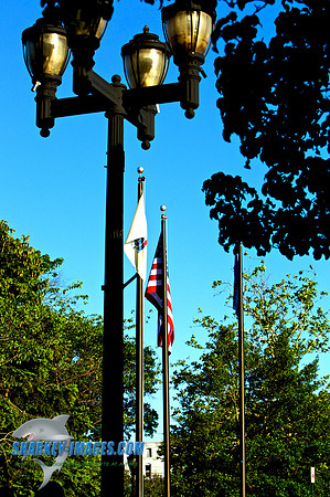 110602 23 - Version 2