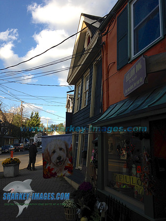 131020iP5 12